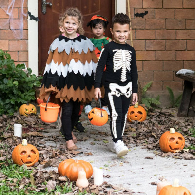 HA5231 HALLOWEENSKÉ DEKORACE 17 CM