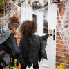HA5228 HALLOWEENSKÉ DEKORACE 60G