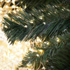Vánoční stromek Jedle normanská 120 cm