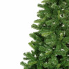 Vánoční stromek Jedle normanská 120 cm