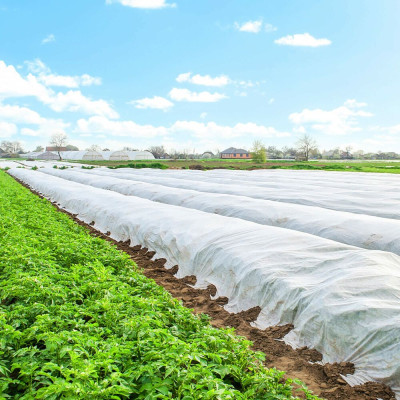 Netkaná agrotextilie 1,6m x 50m, extra pevná, bílá SPRINGOS AG0002