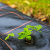 Agrotextilie proti plevelu 3,2m x 10m, extra pevná, černá SPRINGOS AG0031