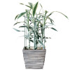 HA5170 PODPORA ROSTLIN