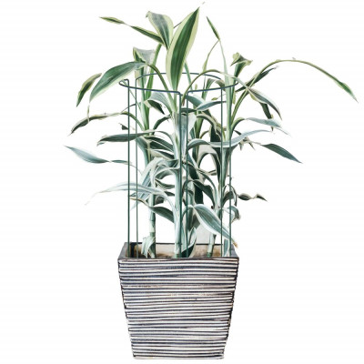 HA5170 PODPORA ROSTLIN