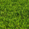 Umělý travní koberec 45mm, 2m SPRINGOS GOLF NATURE GA0048