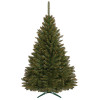 Vánoční stromek Smrk kavkazský 150 cm