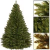 Vánoční stromek Smrk kavkazský 220 cm