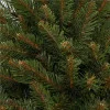 Vánoční stromek Smrk kavkazský 220 cm