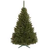 Vánoční stromek Smrk kavkazský 220 cm