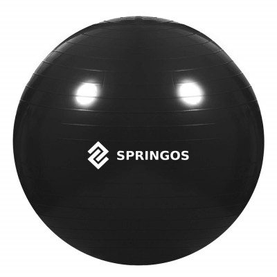 FB0013 GYMNASTICKÝ MÍČ S PUMPOU 55 CM