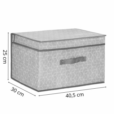 Úložný box 40x30x25 cm SPRINGOS HA0163 šedý