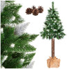 Vánoční stromek Borovice diamantová na kmínku 140 cm Vánoční stromek Borovice diamantová na kmínku 140 cm