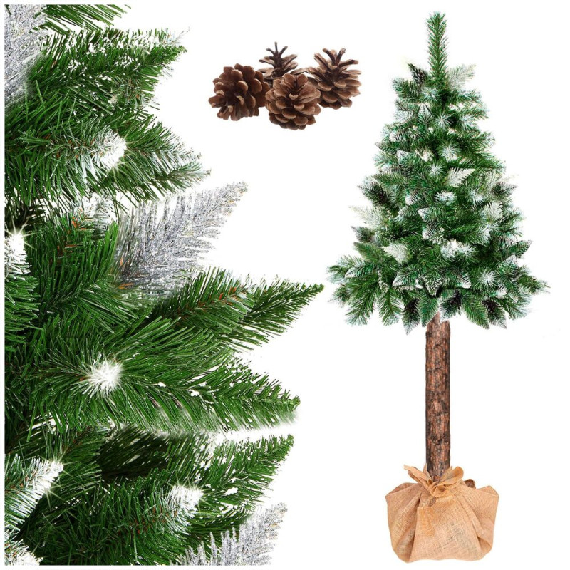 Vánoční stromek Borovice diamantová na kmínku 140 cm Vánoční stromek Borovice diamantová na kmínku 140 cm