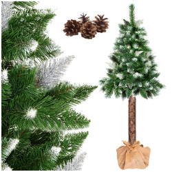 Vánoční stromek Borovice diamantová na kmínku 140 cm