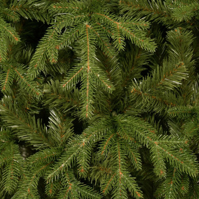 Vánoční stromek Smrk Royal himalájský 240 cm