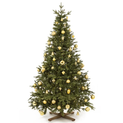 Vánoční stromek Smrk Royal himalájský 210 cm