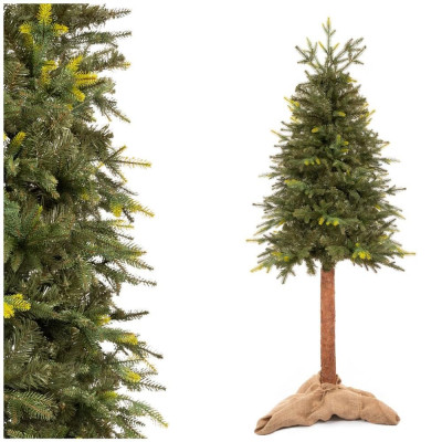 Vánoční stromek Smrk přírodní na kmínku 180 cm