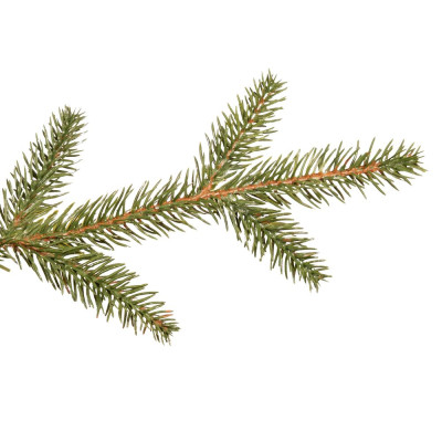 Vánoční stromek Smrk DeLuxe přírodní 220 cm