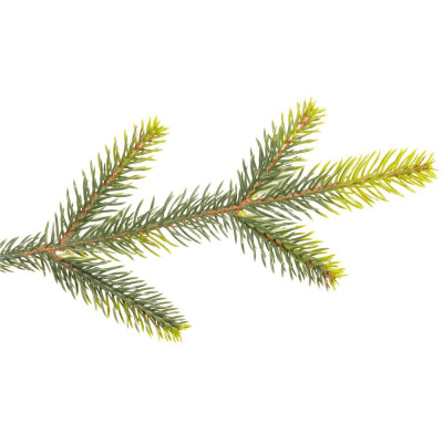 Vánoční stromek Smrk DeLuxe přírodní 220 cm