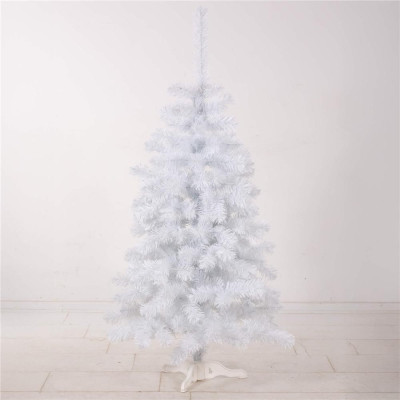 Vánoční stromek Jedle bílá 150 cm