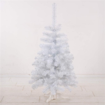 Vánoční stromek Jedle bílá 120 cm