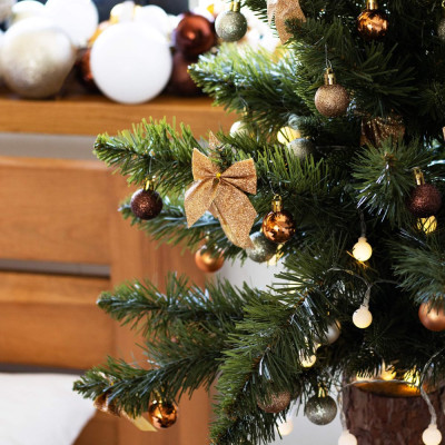 Vánoční stromek Jedle na kmínku 100 cm