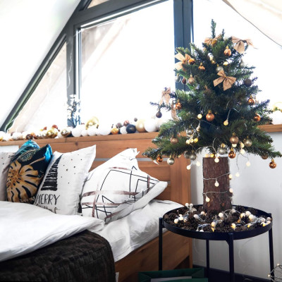 Vánoční stromek Jedle na kmínku 100 cm