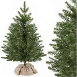 Vánoční stromek Smrk Premium kavkazský 60 cm