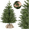 Vánoční stromek Smrk Premium kavkazský 60 cm