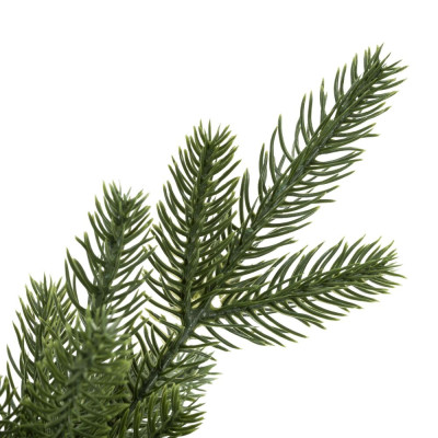 Vánoční stromek Smrk Premium kavkazský 60 cm