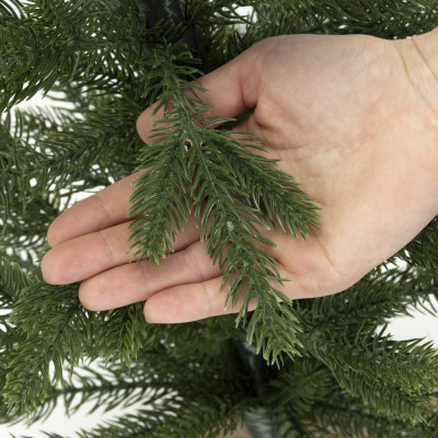 Vánoční stromek Smrk Premium kavkazský 60 cm