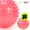Masážní míč 20 cm + pumpička ACTIGET ACT0151 červený