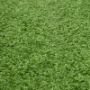 Umělý trávník 10 mm, 2x5 m SPRINGOS GA0259
