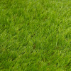Umělý trávník 30 mm, 2x5 m SPRINGOS GA0261