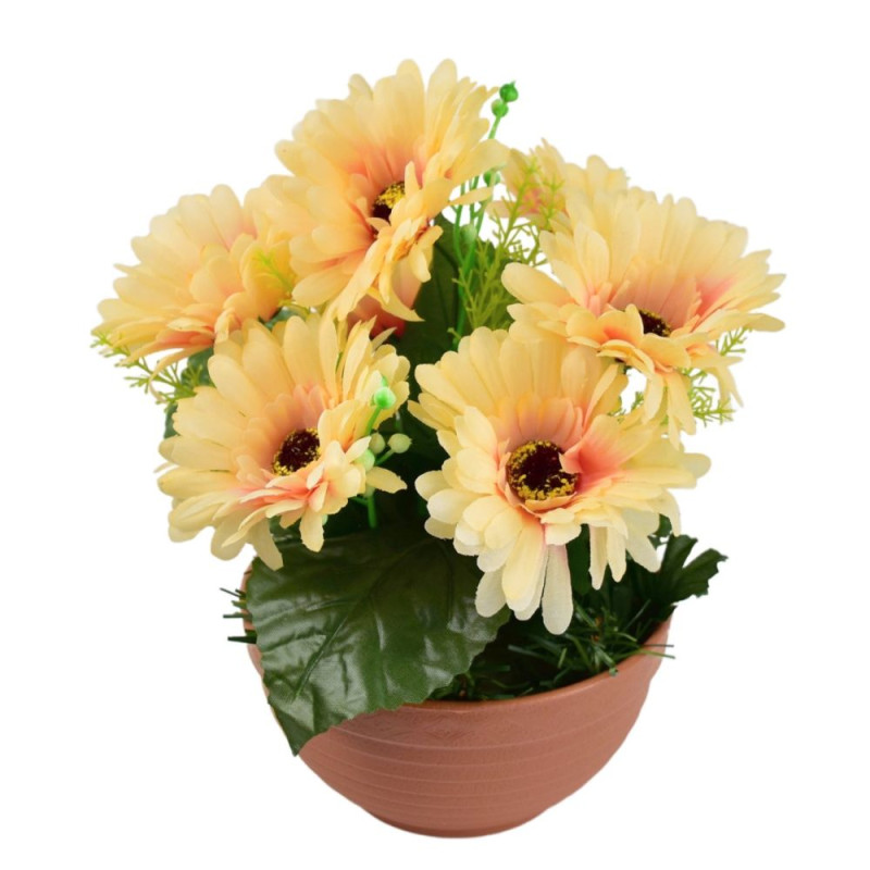 Gerbery světle oranžové 7 květů v terakotové misce Ø22/ 24 cm