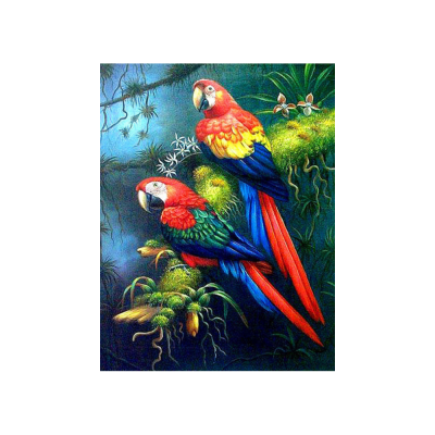 Diamantové malování 40x30 cm, Papoušci Springos ART