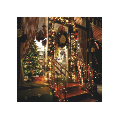 LED řetěz Nano - 10m, 100LED, 8 funkcí, IP44, teplá bílá