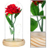Věčná růže ve skle s led osvětlením SPRINGOS HA5155