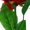 Věčná růže ve skle s led osvětlením SPRINGOS HA5155
