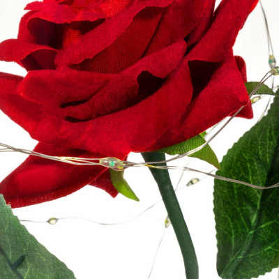 Věčná růže ve skle s led osvětlením SPRINGOS HA5156