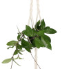 Závěs na květináč 100 cm SPRINGOS MACRAME