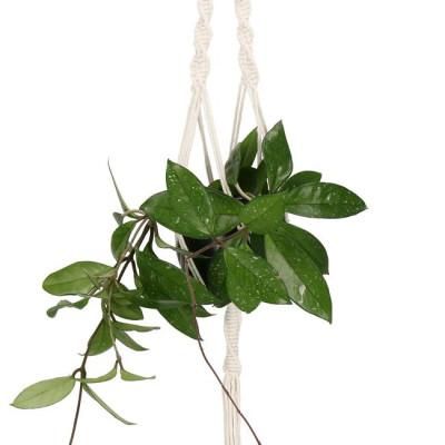 Závěs na květináč 100 cm SPRINGOS MACRAME