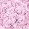 Medvídek z růží 30 cm, růžový SPRINGOS ROSE BEAR
